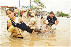 La UAEM crea una metodología para valorar daños por inundaciones